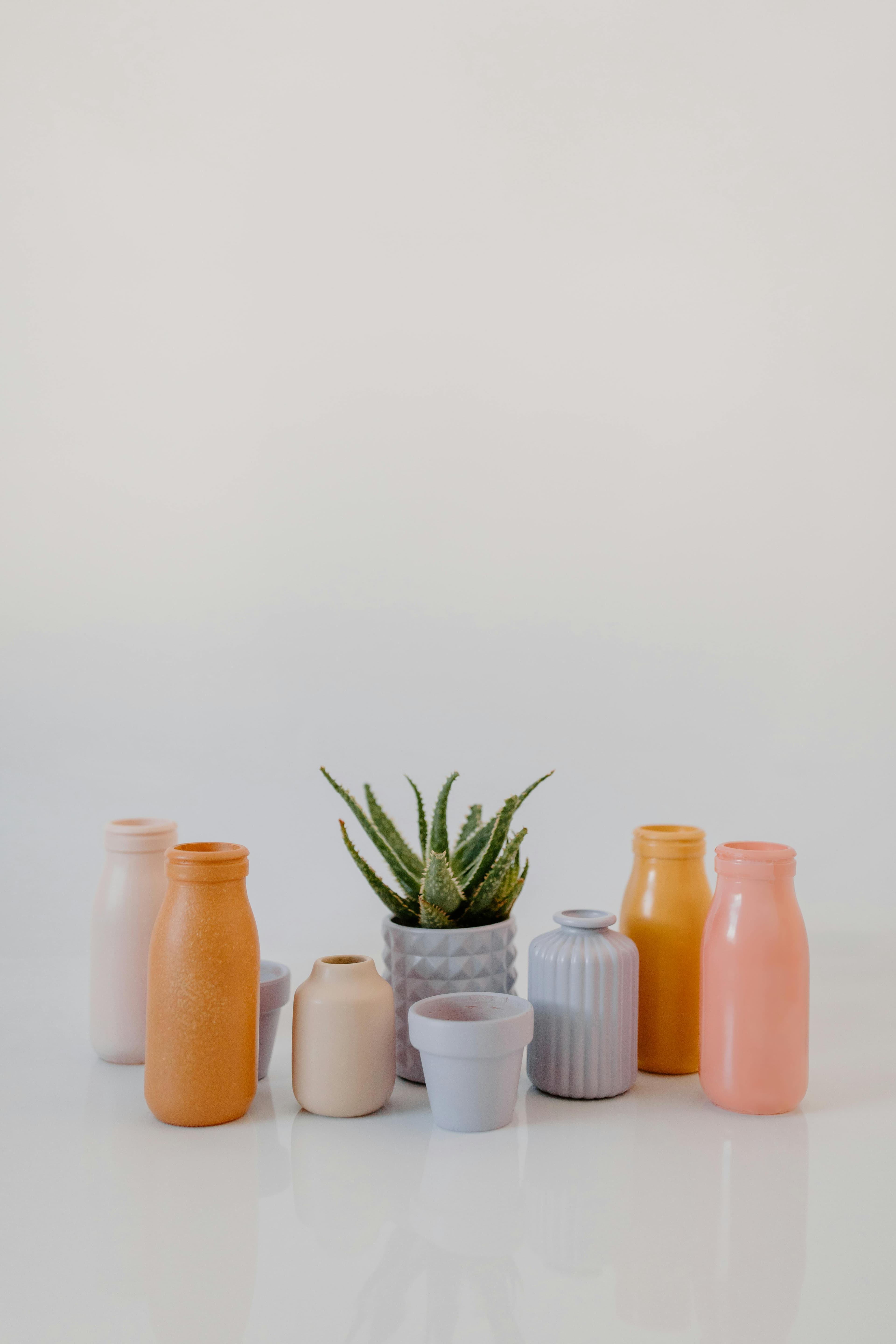 Potted aloe among ceramic vases